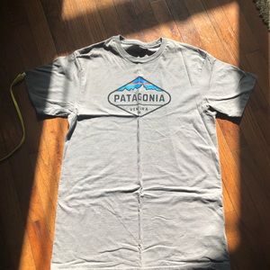 Grey Patagonia tee